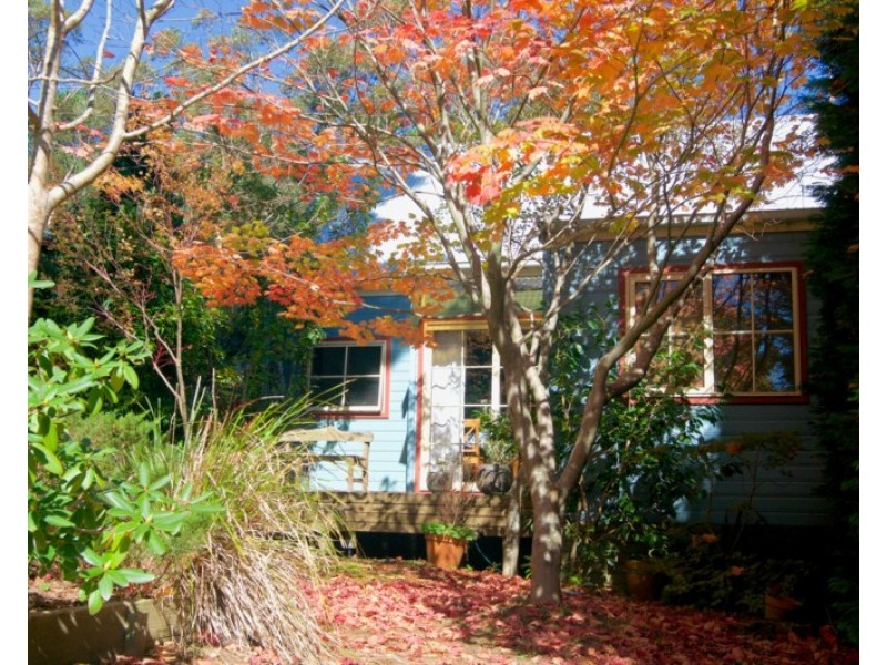 61 Thirroul Avenue, Blackheath NSW 2785