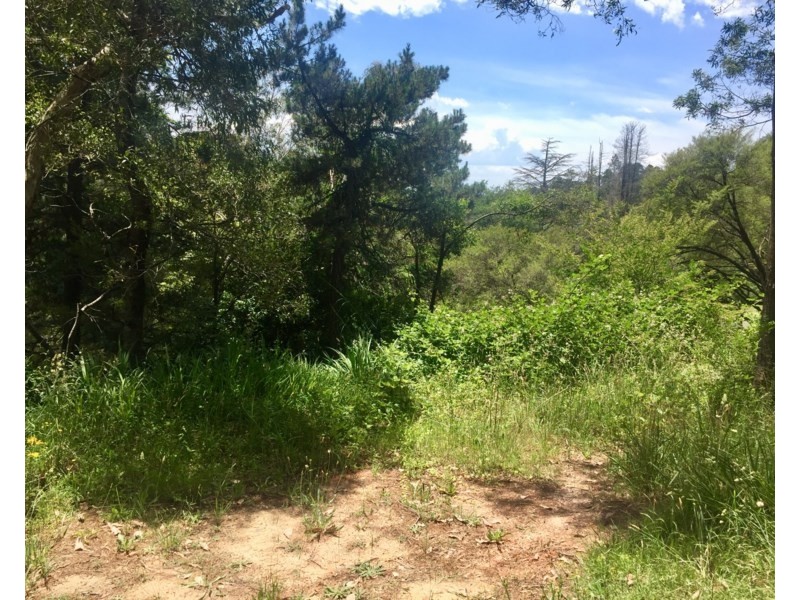 22 Gardiners Crescent, Blackheath NSW 2785