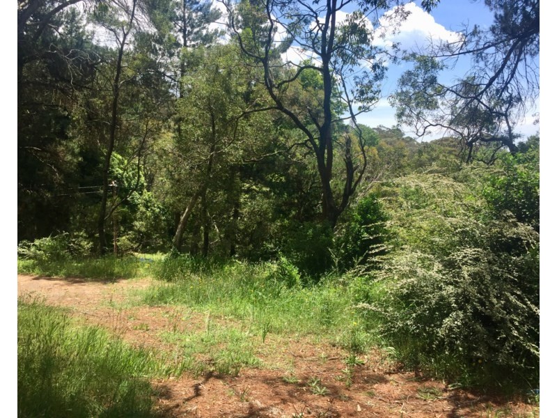 22 Gardiners Crescent, Blackheath NSW 2785