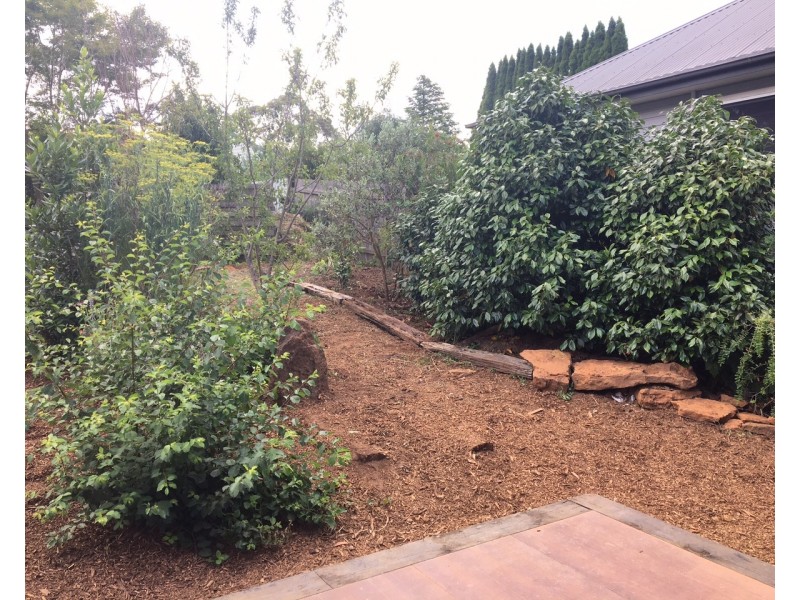 14 Rodriguez Avenue, Blackheath NSW 2785