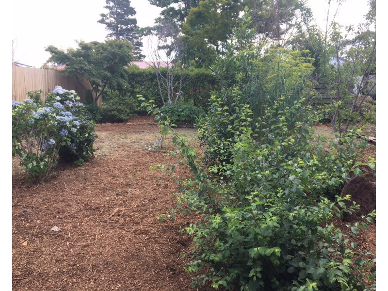 14 Rodriguez Avenue, Blackheath NSW 2785