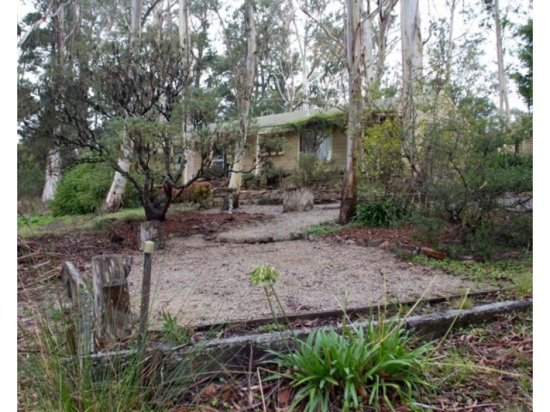 46 Mount York Road, Mount Victoria NSW 2786