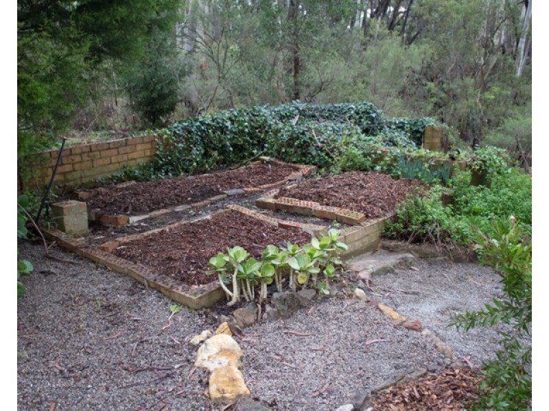 46 Mount York Road, Mount Victoria NSW 2786