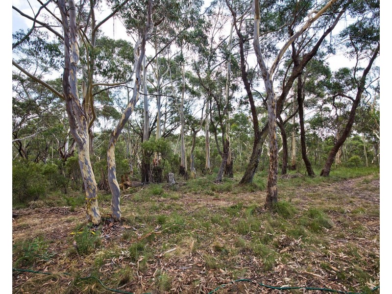 48 Godson Ave (Block 5), Blackheath NSW 2785