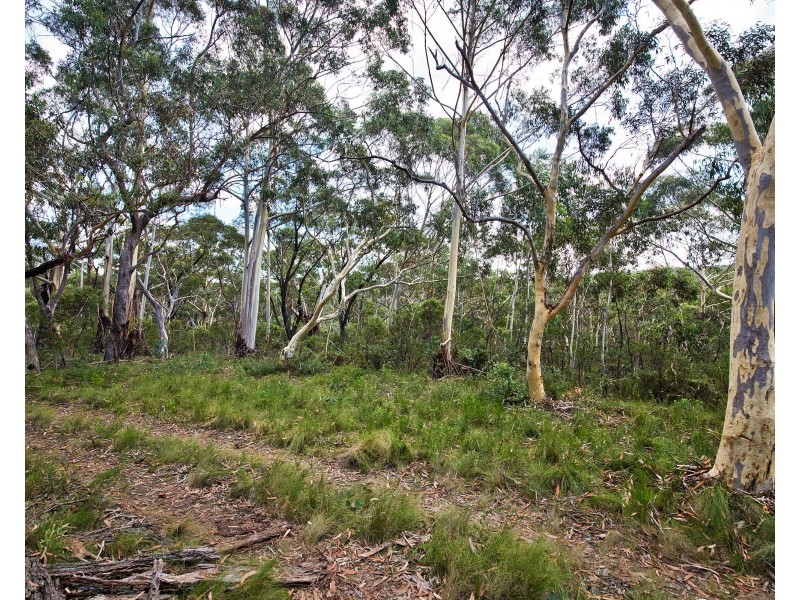 48 Godson Ave (Block 5), Blackheath NSW 2785