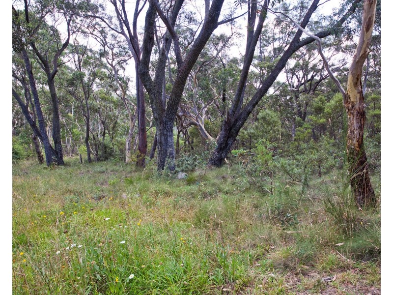 24 Godson Ave (Block 2), Blackheath NSW 2785