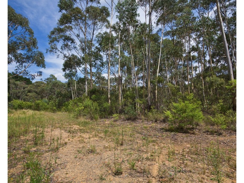 24 Godson Ave (Block 2), Blackheath NSW 2785