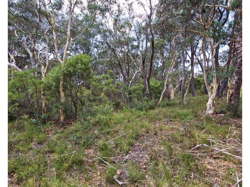 24 Godson Ave (Block 2), Blackheath NSW 2785