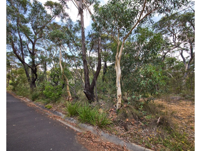 60 Godson Ave (Block 6), Blackheath NSW 2785