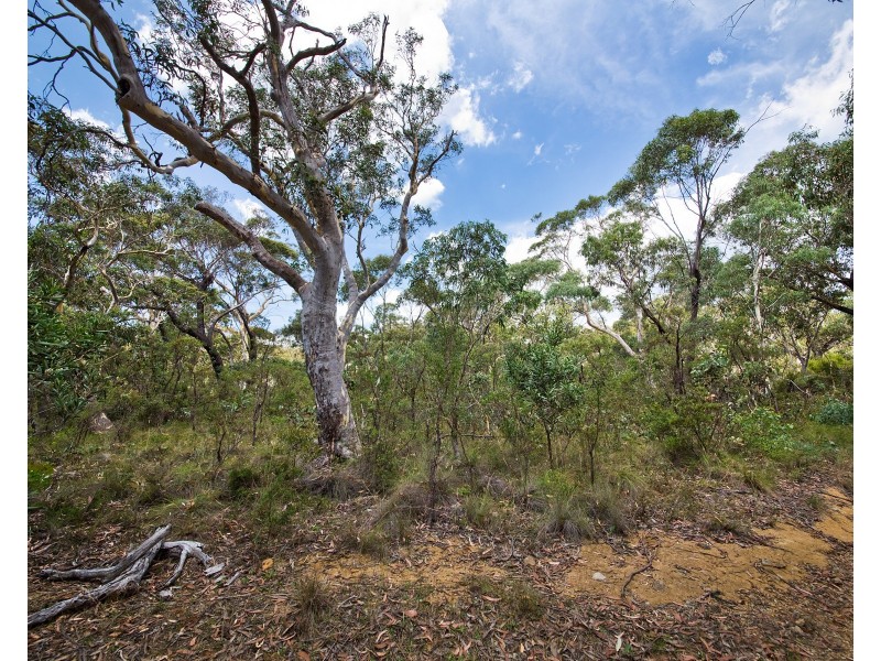 60 Godson Ave (Block 6), Blackheath NSW 2785