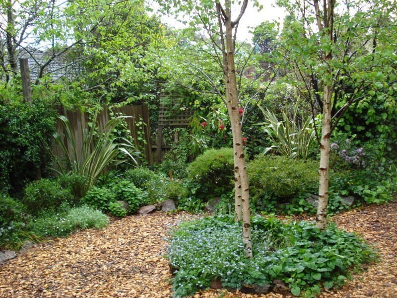 21 Clyde Avenue, Blackheath NSW 2785