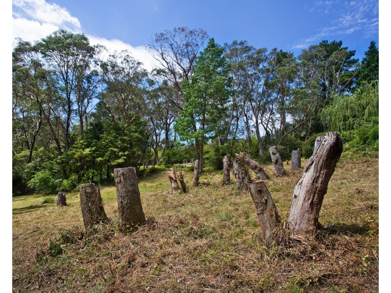 45 Fitzroy Street, Leura NSW 2780