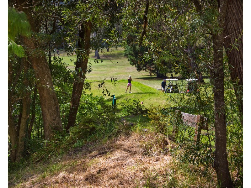 45 Fitzroy Street, Leura NSW 2780