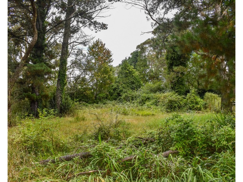 24 Gardiner Crescent, Blackheath NSW 2785