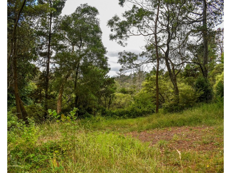 24 Gardiner Crescent, Blackheath NSW 2785