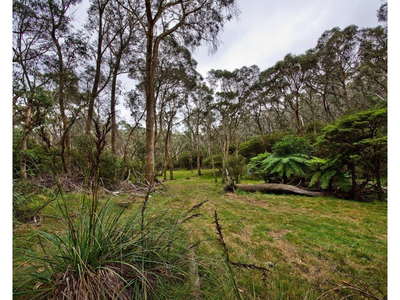 6 Russell Street, Katoomba NSW 2780