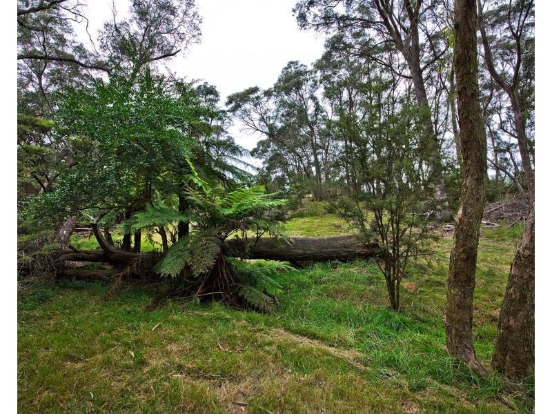 6 Russell Street, Katoomba NSW 2780