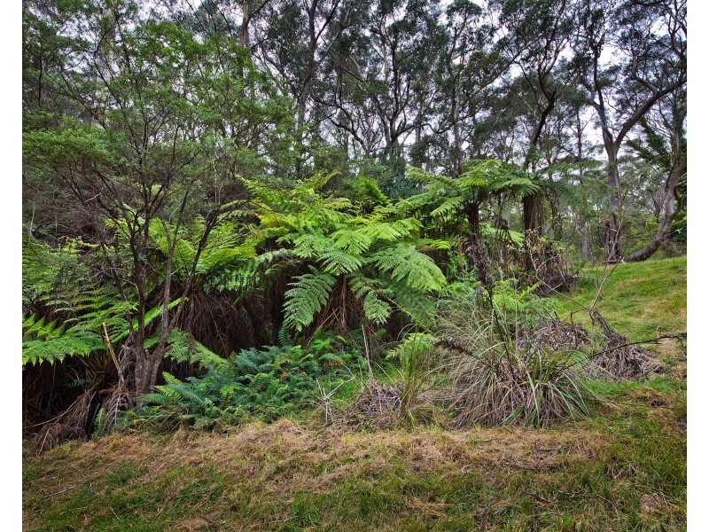 6 Russell Street, Katoomba NSW 2780