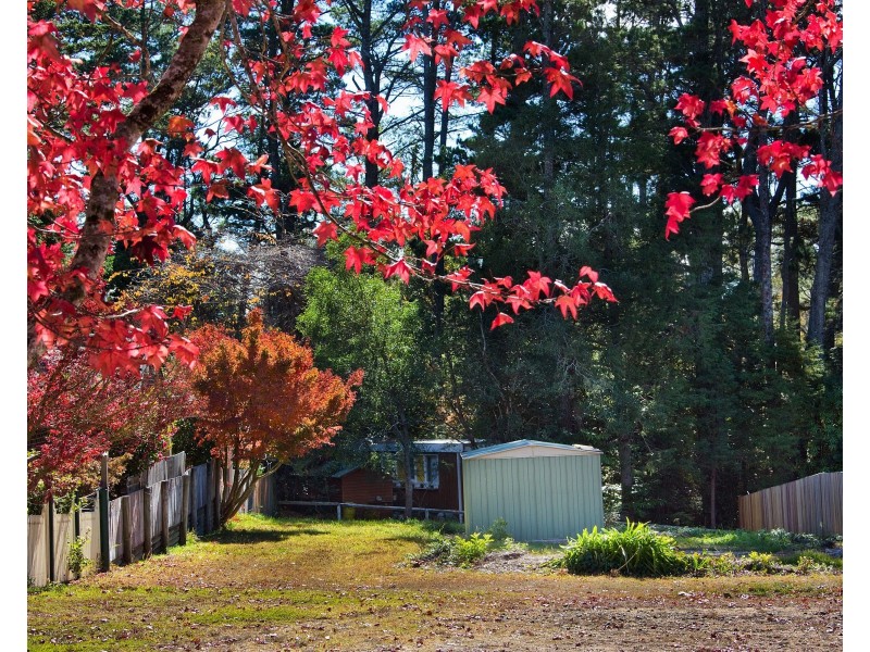 22 Belvidere Avenue, Blackheath NSW 2785