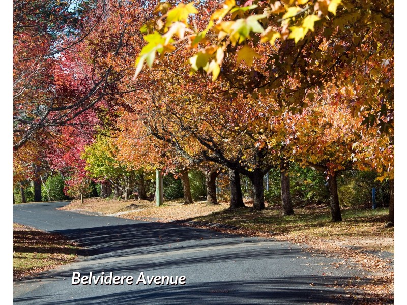 22 Belvidere Avenue, Blackheath NSW 2785