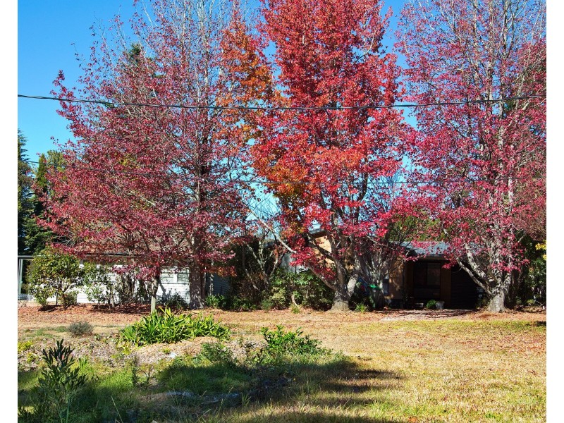 22 Belvidere Avenue, Blackheath NSW 2785