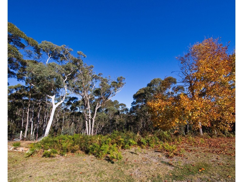 50-78 Mount York Road, Mount Victoria NSW 2786