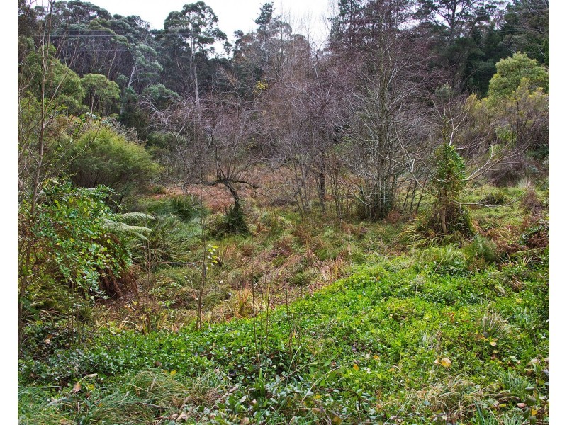 11 Cleopatra Street, Blackheath NSW 2785