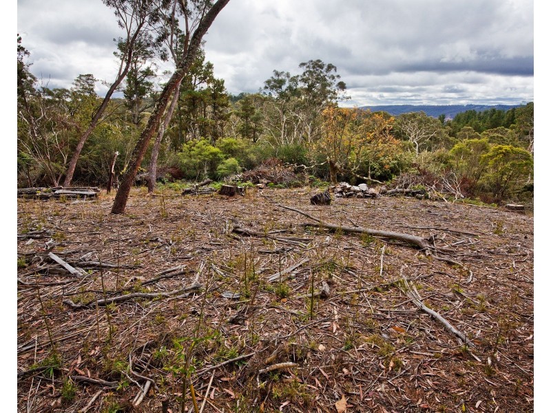 22-40 Mount Blackheath Road, Blackheath NSW 2785