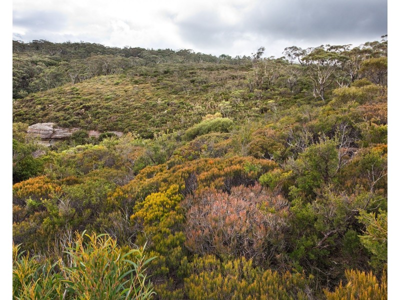 22-40 Mount Blackheath Road, Blackheath NSW 2785