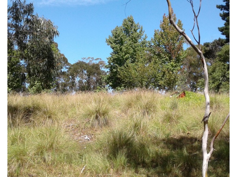 92-94 Bells Line Of Road, Bell NSW 2786