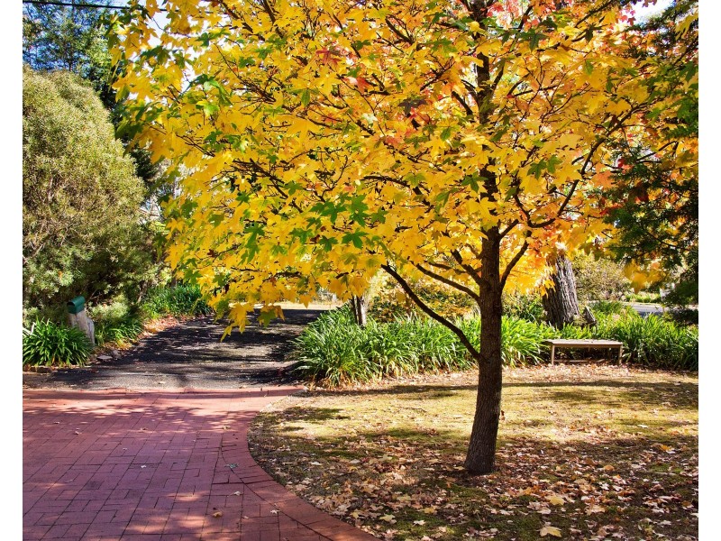 15-17 Salisbury Avenue, Mount Victoria NSW 2786