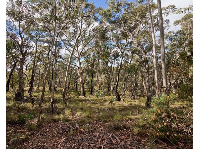 15-17 Salisbury Avenue, Mount Victoria NSW 2786