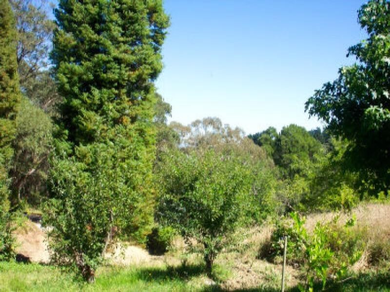 Blackheath NSW 2785