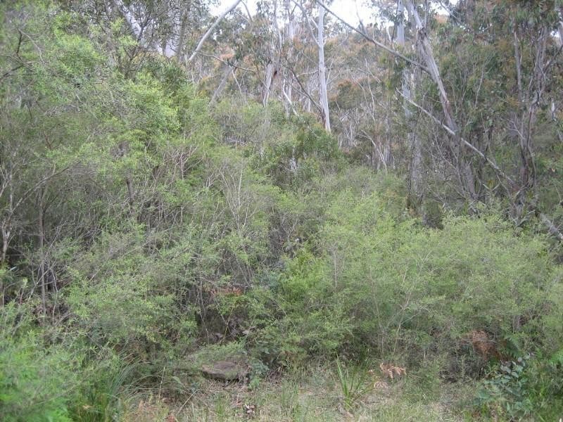 42 Delmonte Avenue, Medlow Bath NSW 2780