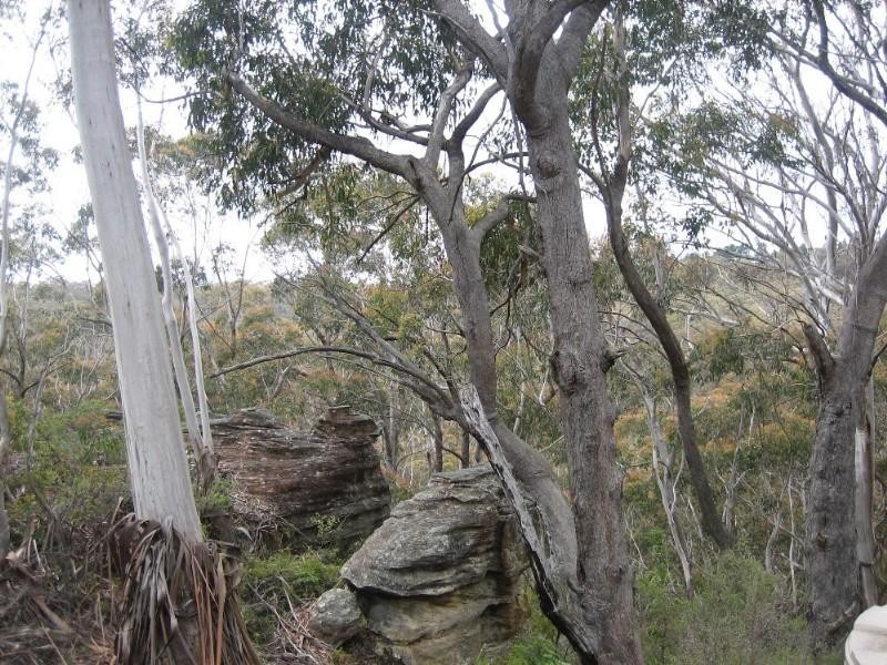 Mount Victoria NSW 2786