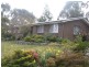 Blackheath NSW 2785