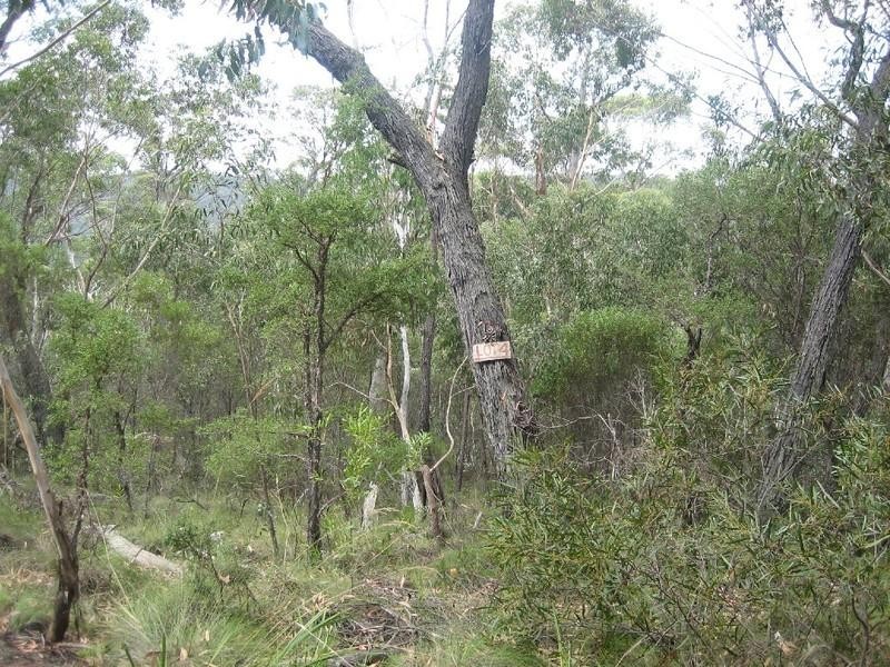 23-25 Salisbury Avenue, Mount Victoria NSW 2786