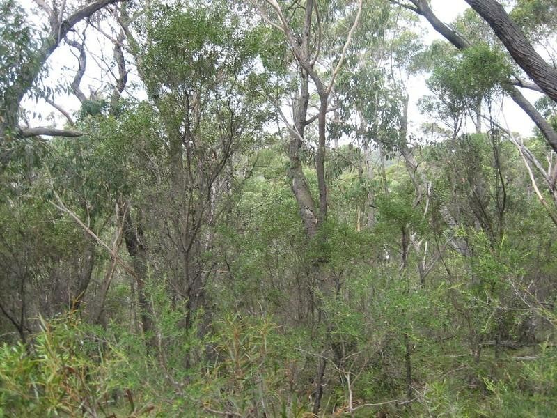 23-25 Salisbury Avenue, Mount Victoria NSW 2786