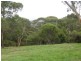 Mount Victoria NSW 2786