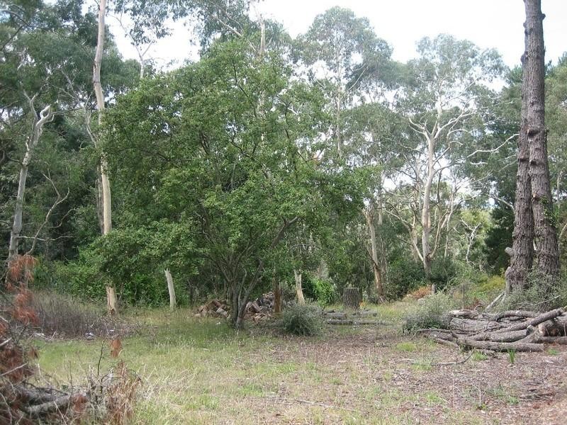 3 Mt York Road, Mount Victoria NSW 2786