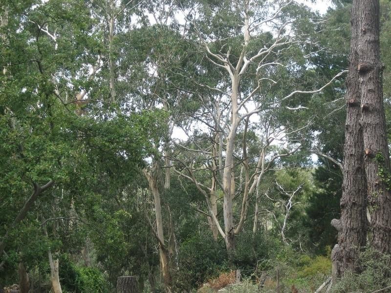 3 Mt York Road, Mount Victoria NSW 2786