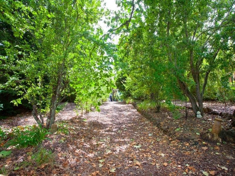 51 Leichhardt Street, Blackheath NSW 2785