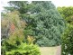 Blackheath NSW 2785