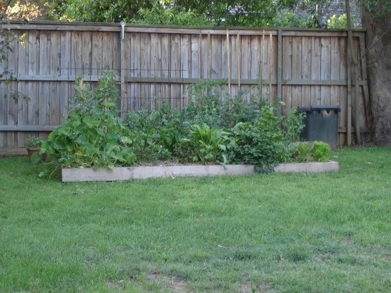Blackheath NSW 2785