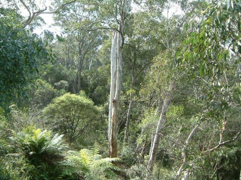 Blackheath NSW 2785
