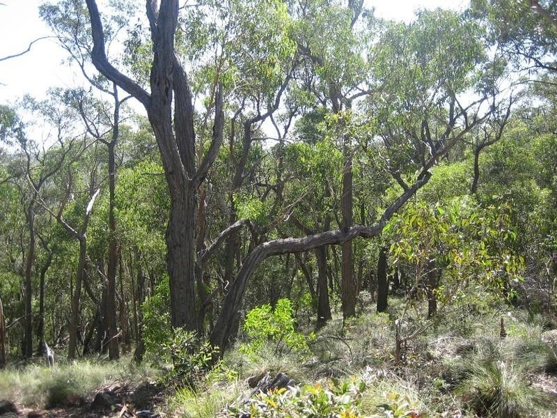 22 Chatsworth Road, Mount Victoria NSW 2786