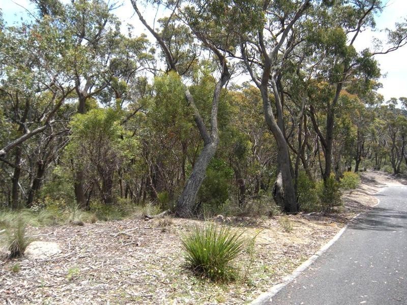 22 Chatsworth Road, Mount Victoria NSW 2786