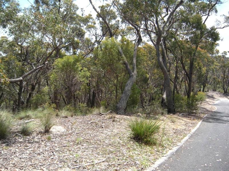 22 Chatsworth Road, Mount Victoria NSW 2786