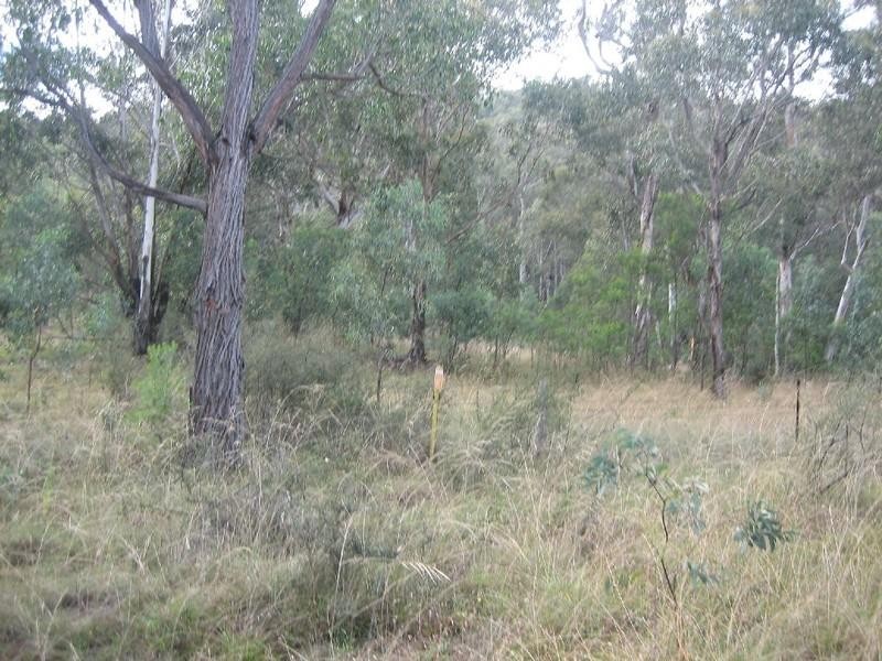 Lot 3/143 Coxs River Road, Little Hartley NSW 2790