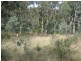 Lot 4/143 Coxs River Road, Little Hartley NSW 2790